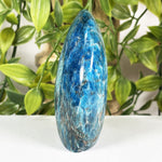 Apatite Gemstone Freeform - RPS688