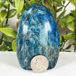 Apatite Gemstone Freeform - RPS688