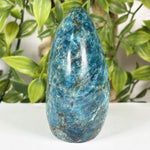 Apatite Gemstone Freeform - RPS689