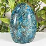 Apatite Gemstone Freeform - RPS689