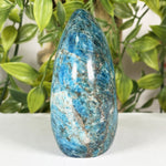 Apatite Gemstone Freeform - RPS689