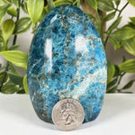 Apatite Gemstone Freeform - RPS689