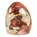 Polychrome Jasper Gemstone Freeform - RPS690