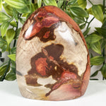 Polychrome Jasper Gemstone Freeform - RPS690
