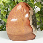 Polychrome Jasper Gemstone Freeform - RPS690