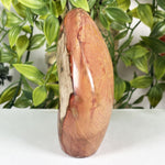 Polychrome Jasper Gemstone Freeform - RPS690