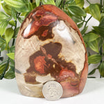 Polychrome Jasper Gemstone Freeform - RPS690