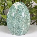 Amazonite Gemstone Freeform  - RPS692