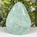 Amazonite Gemstone Freeform  - RPS693