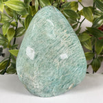 Amazonite Gemstone Freeform  - RPS693