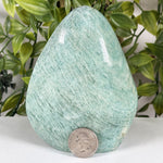 Amazonite Gemstone Freeform  - RPS693