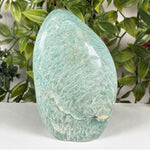 Amazonite Gemstone Freeform  - RPS694
