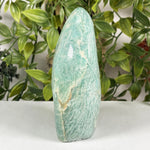 Amazonite Gemstone Freeform  - RPS694