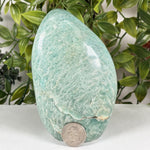 Amazonite Gemstone Freeform  - RPS694