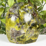 Green Opal Gemstone Freeform - RPS697