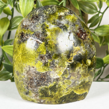 Green Opal Gemstone Freeform - Gem Avenue Wholesale
