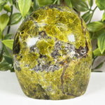 Green Opal Gemstone Freeform - RPS697