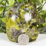 Green Opal Gemstone Freeform - RPS697