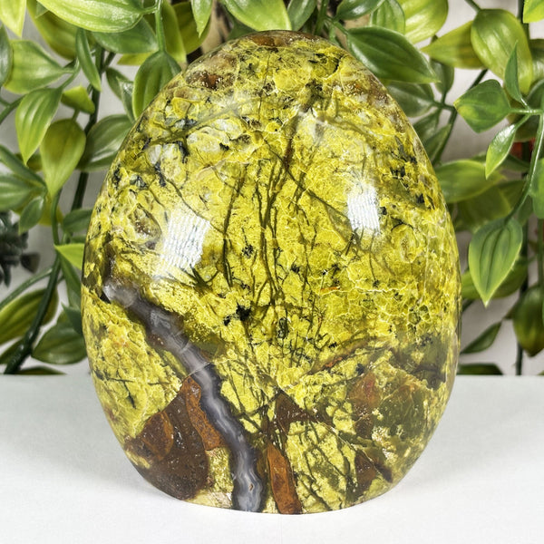 Green Opal Gemstone Freeform - Gem Avenue Wholesale