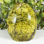 Green Opal Gemstone Freeform - RPS699