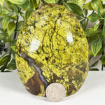 Green Opal Gemstone Freeform - RPS699