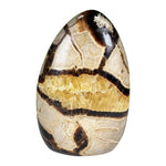 Septarian Gemstone Freeform - RPS701