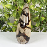 Septarian Gemstone Freeform - RPS701