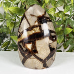 Septarian Gemstone Freeform - RPS701