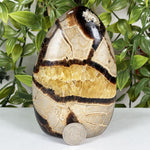 Septarian Gemstone Freeform - RPS701