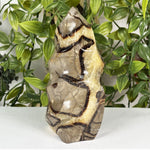Septarian Gemstone Freeform  - RPS702