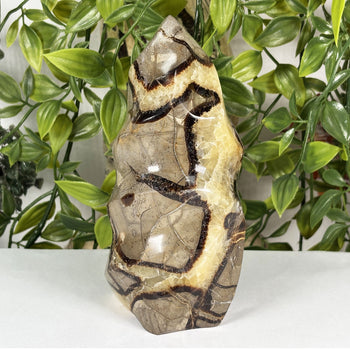 Septarian Gemstone Freeform - Gem Avenue Wholesale