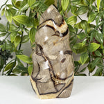 Septarian Gemstone Freeform  - RPS702