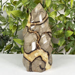 Septarian Gemstone Freeform  - RPS702