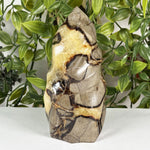 Septarian Gemstone Freeform  - RPS702