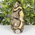 Septarian Gemstone Freeform  - RPS702