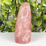 Rose Quartz Gemstone Freeform - RPS703