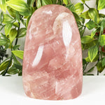 Rose Quartz Gemstone Freeform - RPS703