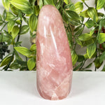 Rose Quartz Gemstone Freeform - RPS703