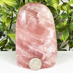 Rose Quartz Gemstone Freeform - RPS703