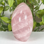 Rose Quartz Gemstone Freeform - RPS704