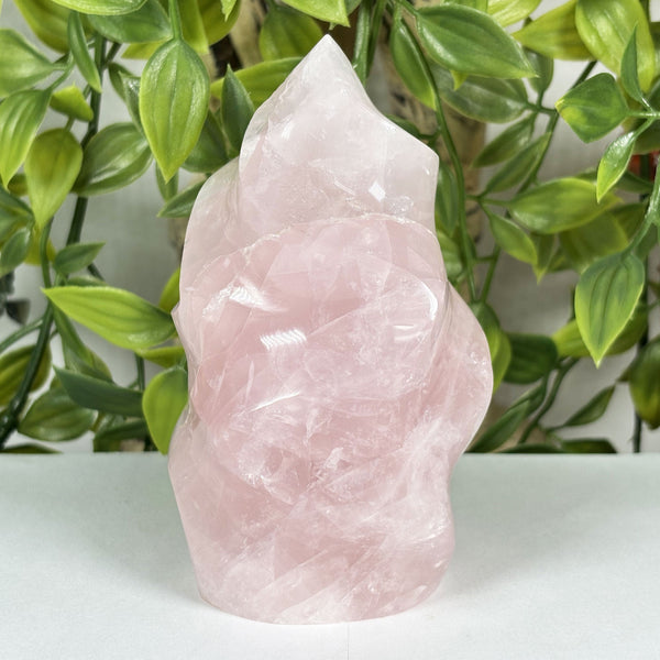 Rose Quartz Gemstone Freeform - Gem Avenue Wholesale