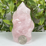 Rose Quartz Gemstone Freeform - RPS705