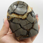 Natural Septarian Freeform Polished Crystal from Madagascar 3.75