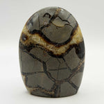 Natural Septarian Freeform Polished Crystal from Madagascar 3.75