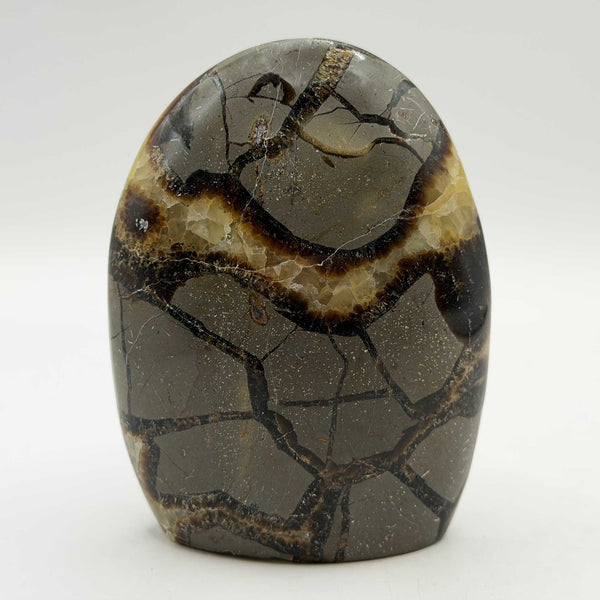 Natural Septarian Polished Freeform Crystal 3.75