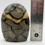 Natural Septarian Freeform Polished Crystal from Madagascar 3.75