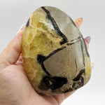 Septarian Freeform Polished Madagascar Crystal 3