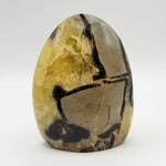 Septarian Freeform Polished Madagascar Crystal 3