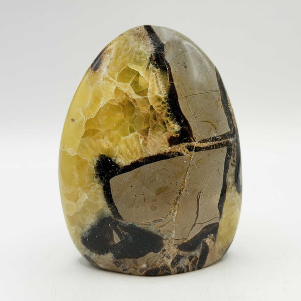 Septarian Crystal Freeform - Gem Avenue 
