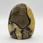 Septarian Freeform Polished Madagascar Crystal 3